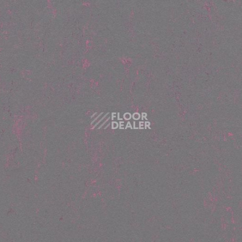 Линолеум Forbo Marmoleum Decibel on Order 373535 purple shimmer фото 1 | FLOORDEALER